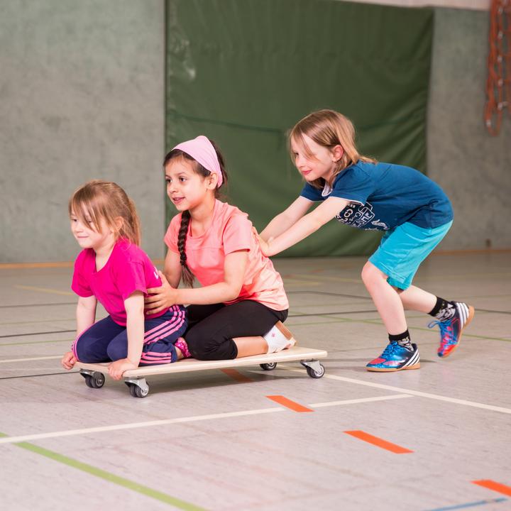 Actual product image Sport-Thieme Roller board Jumbo