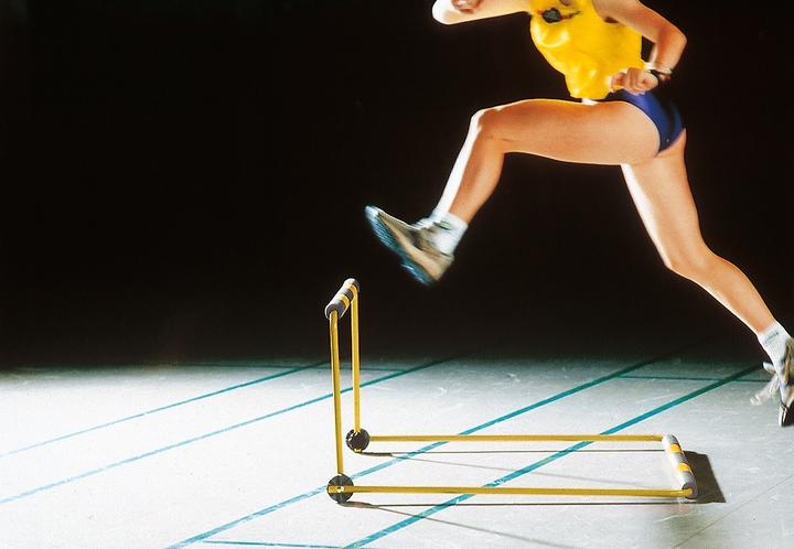Actual product image Sypro Zacharias Hurdle Classic (3500 g)