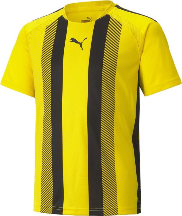 Actual product image Puma teamLIGA Striped Jersey Jr-704927 (176)
