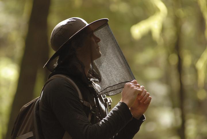 Produktbild Lifesystems Midge/Mosquito Head Net Hat (Kopf- & Nackenkissen)
