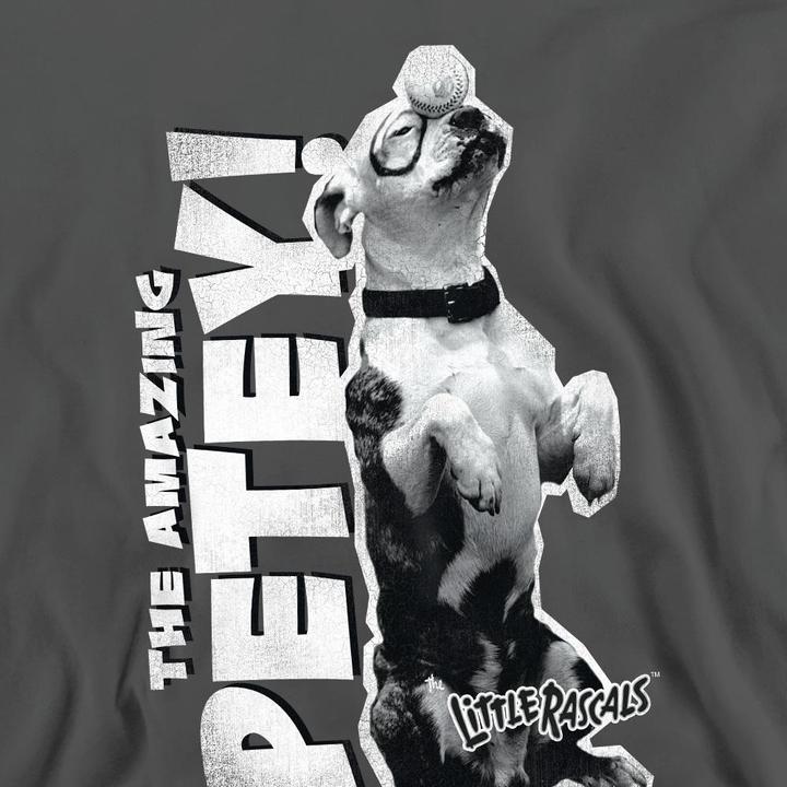 Image du produit The Little Rascals - Sweat AMAZING PETEY - Adulte (XXL)