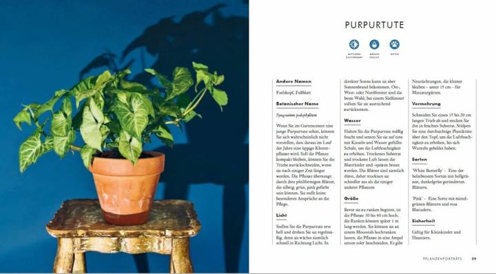 Produktbild Grow in the Dark - Die schönsten Zimmerpflanzen für dunkle Räume und Plätze. Beleuchtung, Düngung (Deutsch, Lisa Eldred Steinkopf, 2020)