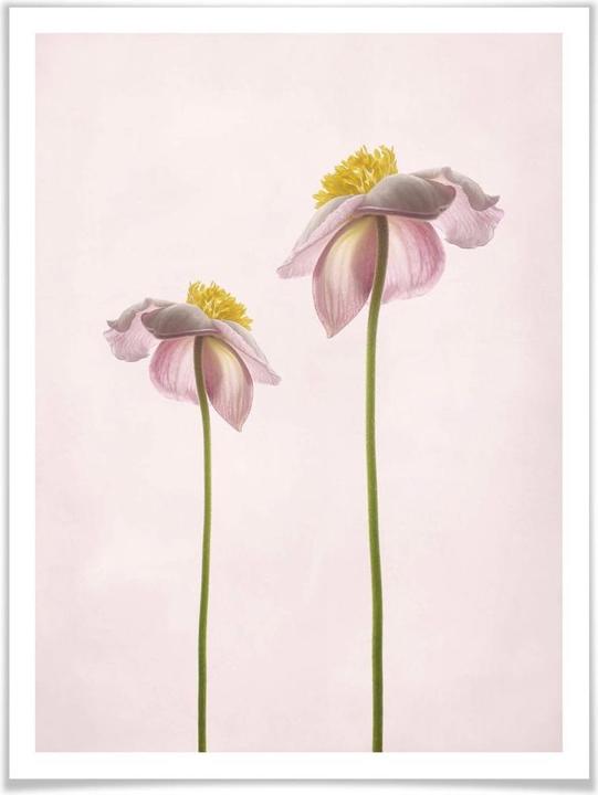 Immagine prodotto Trenddeko Sommerlust (60 x 80 cm)