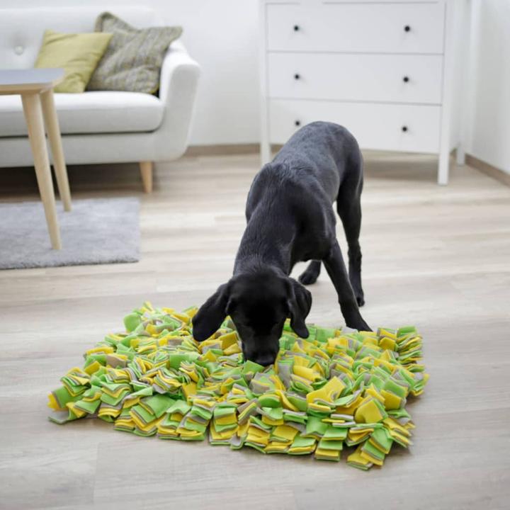 Immagine prodotto Kerbl Schnüffelteppich (Intelligenza cane toy)