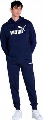 Actual product image Puma ESS Big Logo Hoodie (L)