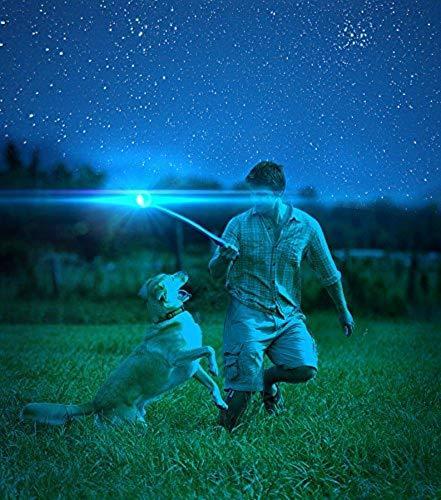 Actual product image Chuckit! CHUCKIT MAX GLOW Glow in the dark 9 cm diameter XL size White (Ball toy dog)