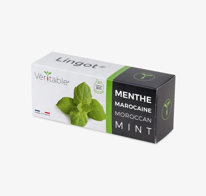 Productafbeelding Véritable Marokkaanse munt (Plant zaden)