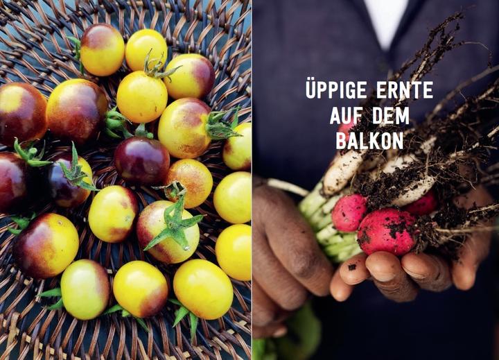 Actual product image Mein Permakultur-Balkon (German, Valéry Tsimba, 2022)