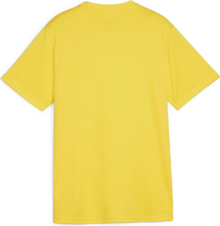 Image du produit Puma teamGOAL Jersey Jr (128)