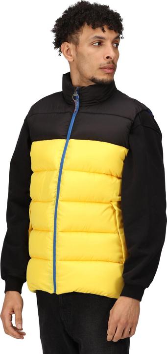 Actual product image Regatta Mens Vintage Colour Block Gilet (3XL)