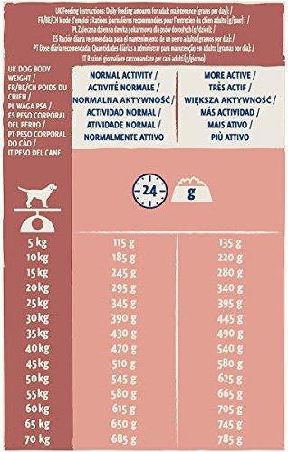 Image du produit Purina DOG CHOW Sensitive avec saumon su lašiša 14kg (Senior, 1 pcs, 14000 g)