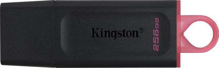 Kingston LECTEUR DE MÉMOIRE FLASH USB3.2/256GB DTX/256GB (256 Go, USB 3.0, USB 3.1, USB 3.2)