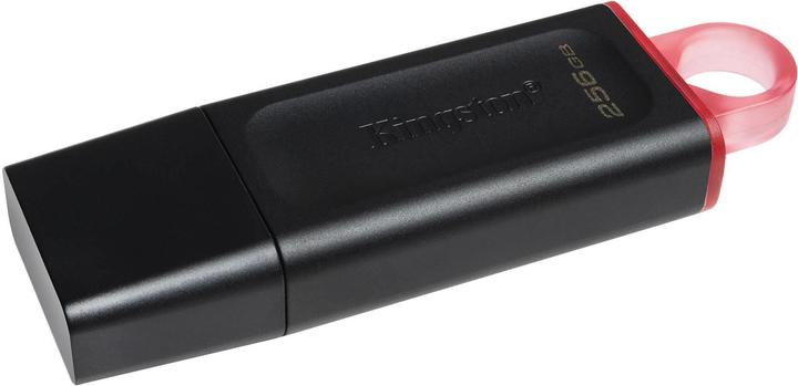Produktbild Kingston MEMORY DRIVE FLASH USB3.2/256GB DTX/256GB (256 GB, USB 3.0, USB 3.1, USB 3.2)