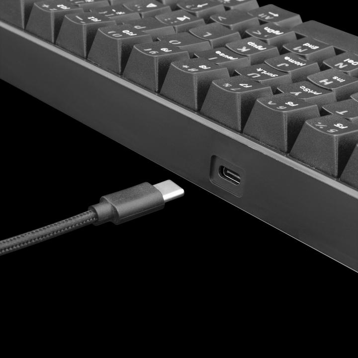 Image du produit White Shark Clavier de jeu mécanique blanc Shark Shinobi, OUTEMU RED Switch, rétroéclairage LED RGB complet, U (US, Filaire)