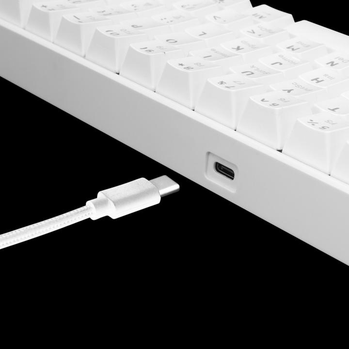 Image du produit White Shark Clavier de jeu mécanique blanc Shark Shinobi, OUTEMU RED Switch, rétroéclairage LED RGB complet, U (US, Filaire)