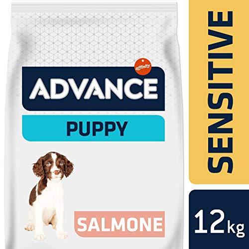 Actual product image Advance Puppy Protect Sensitive 12kg (Puppy + kitten, 1 pcs., 12150 g)