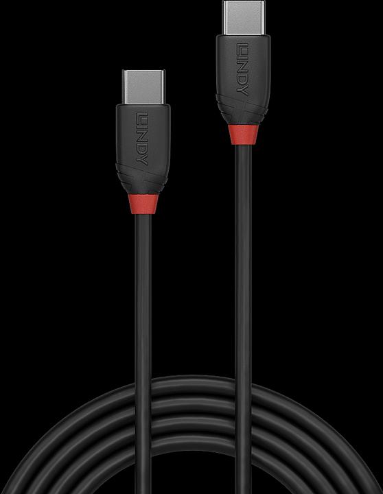 Actual product image Lindy black line (0.50 m, USB 3.1)