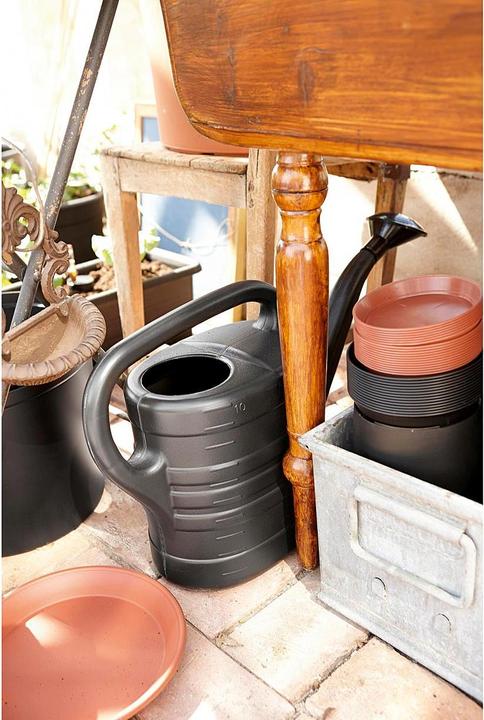 Image du produit Orthex Arrosoir 'Splash (10 l)