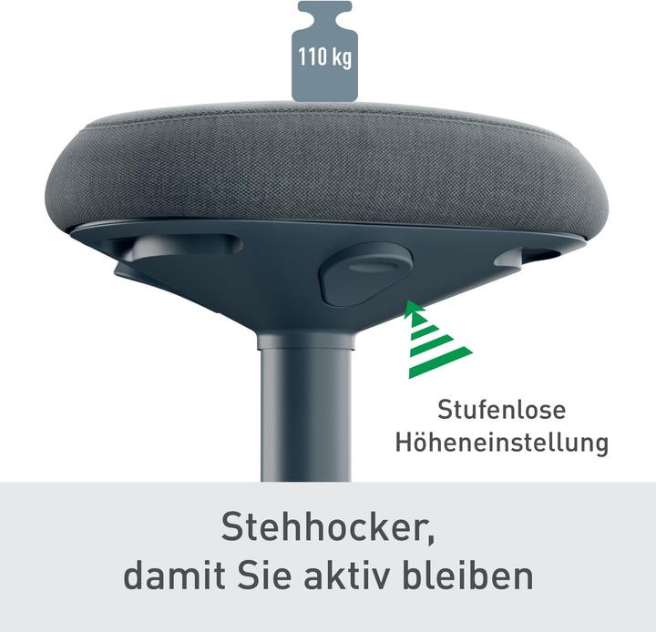 Actual product image Leitz Ergo Active