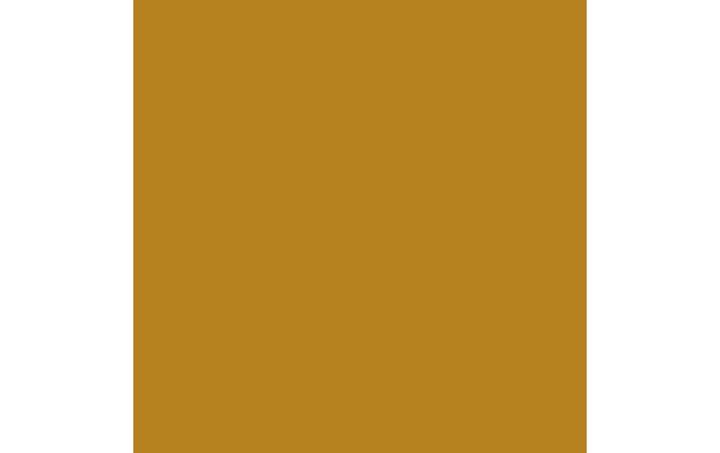 Immagine prodotto Amsterdam Vernice acrilica Serie Standard 231 (Ocra, 120 ml)