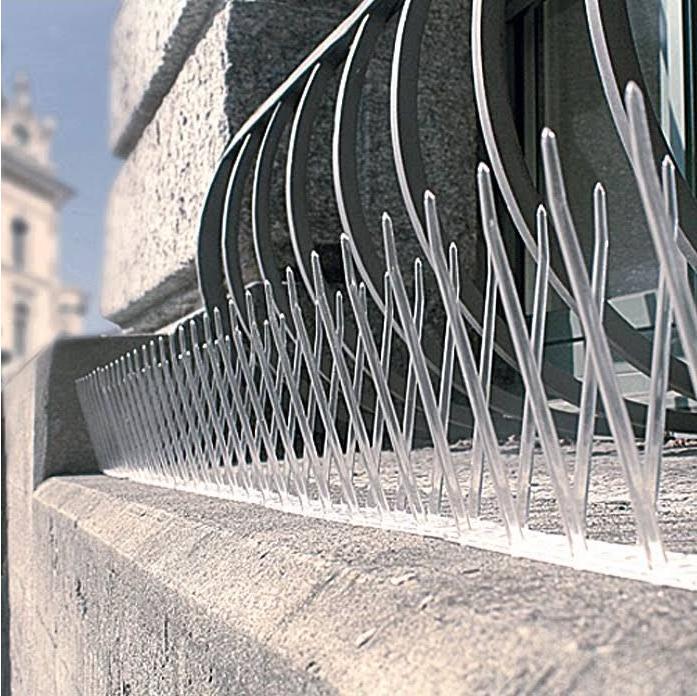 Image du produit Swissinno Pics anti-pigeons 100cm