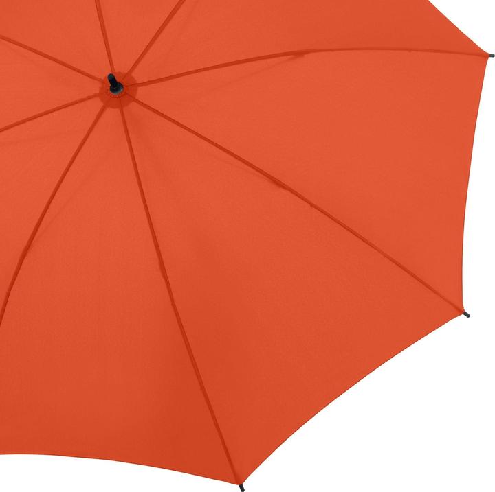 Vibrant Orange