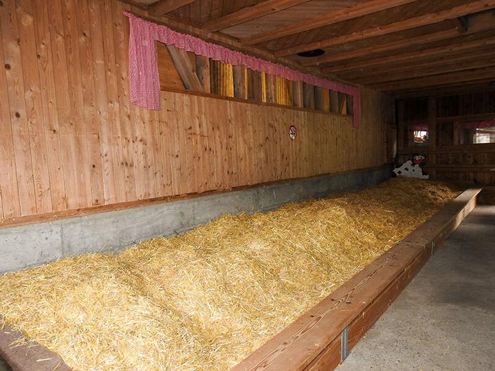 Produktbild Smartbox 1 ausgefallene Übernachtung im Stroh mit der Familie in der Nähe des Bodensees (4 Pers.)
