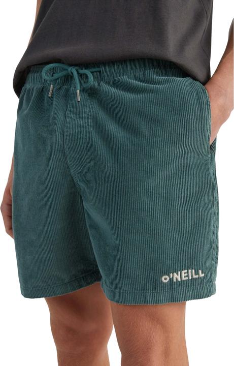 Actual product image O'Neill short camorro cord (XL)