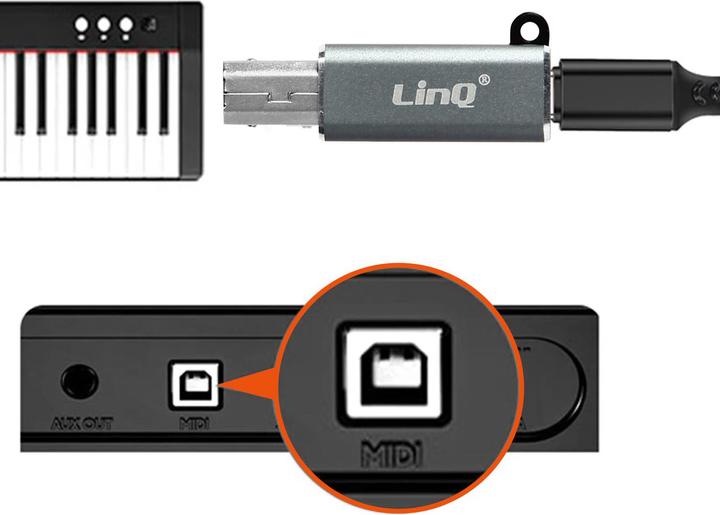 Image du produit LinQ Adaptateur USB-C femelle / USB-B mâle (USB Type C, USB)