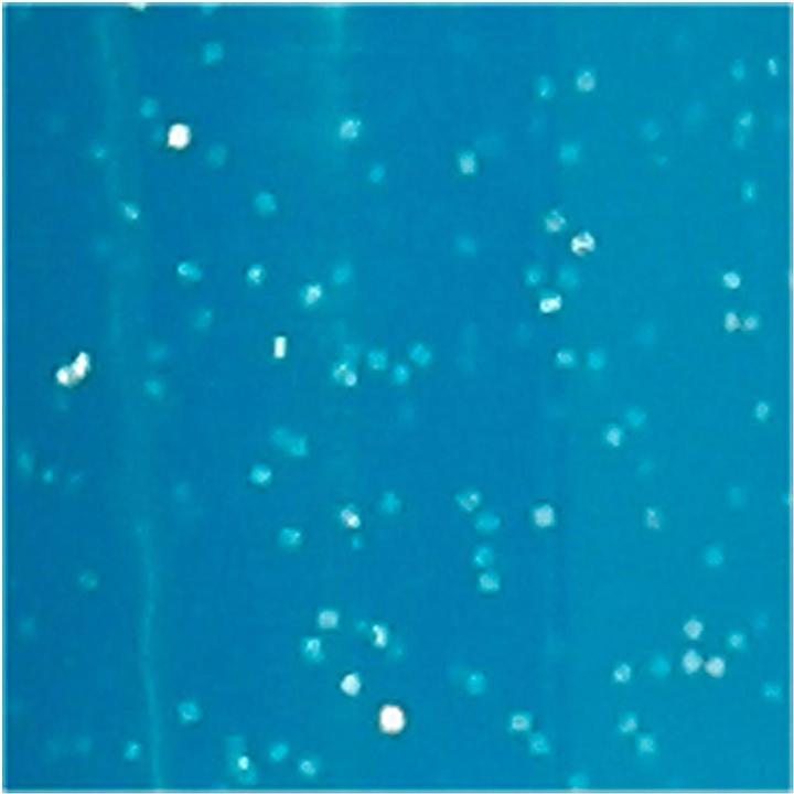 Produktbild Creativ Company Glas-/Porzellanmalstift (Türkis, 4 mm, 1 x)