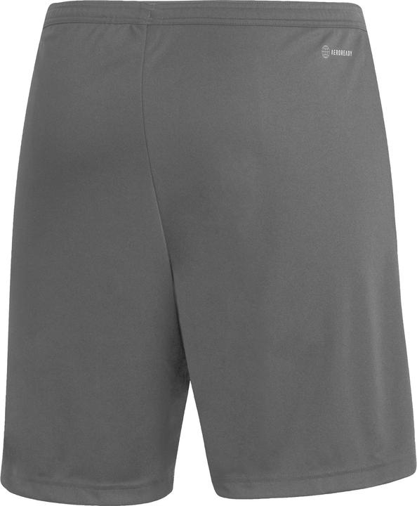 Actual product image adidas Entrada 22 Shorts (3XL)