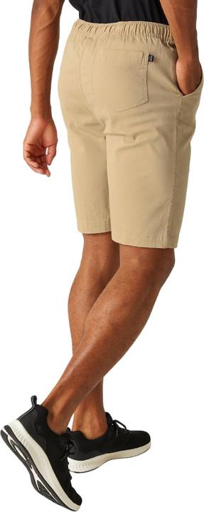 Actual product image Regatta Mens Aldan Chino Shorts (38)