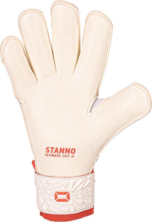 Image du produit Stanno Ultimate Grip III (7)