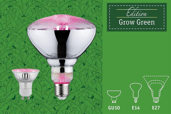 Productafbeelding Paulmann Plantaardig licht (GU10, 3.50 W, 95 lm, 1 x)