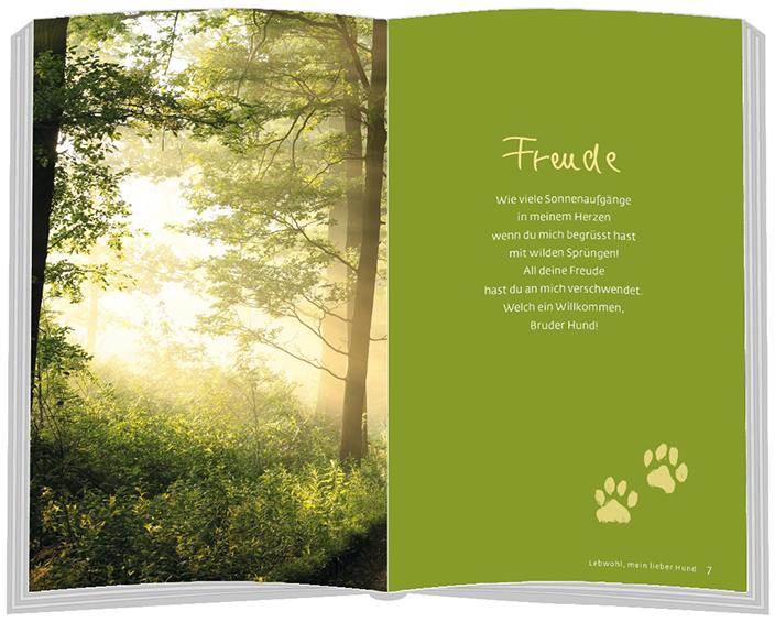 Produktbild Lebwohl, mein lieber Hund (Deutsch, Antje Sabine Naegeli, 2022)
