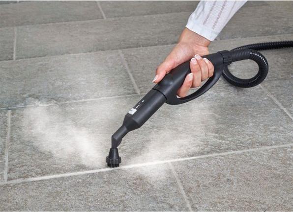 Actual product image Polti VAPORETTO PRO 100 ECO POWER (5.50 bar, 1900 W)