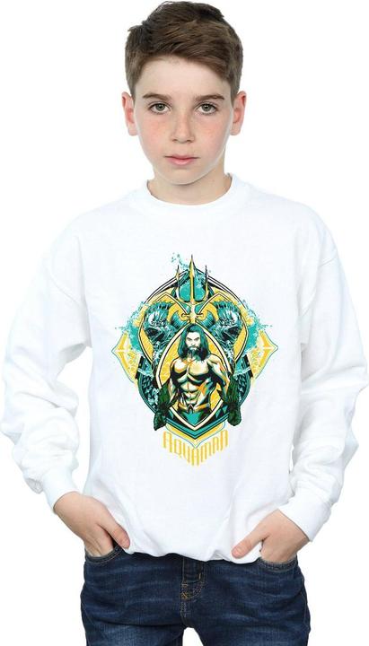 Actual product image Boys Aquaman The Trench Crest Sweatshirt (140, 146)