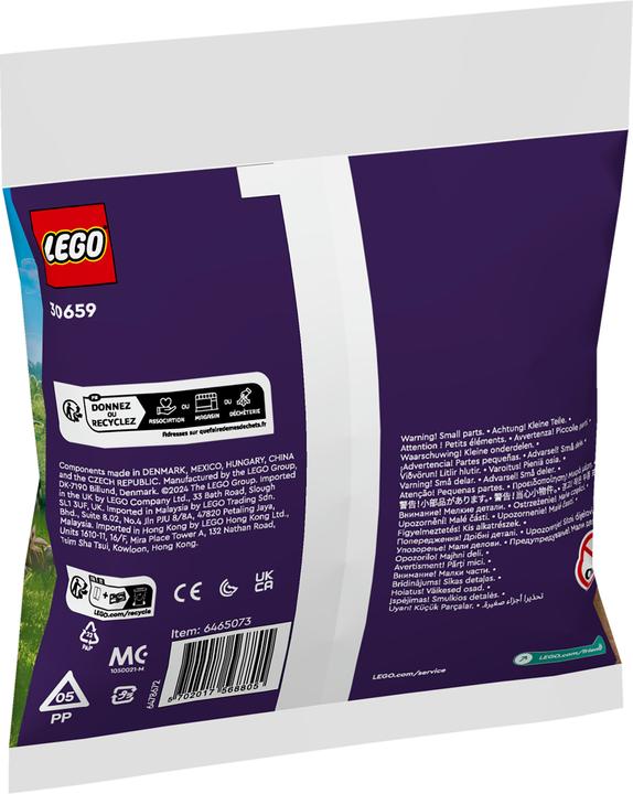 Actual product image LEGO Flower garden (30659, LEGO Friends)