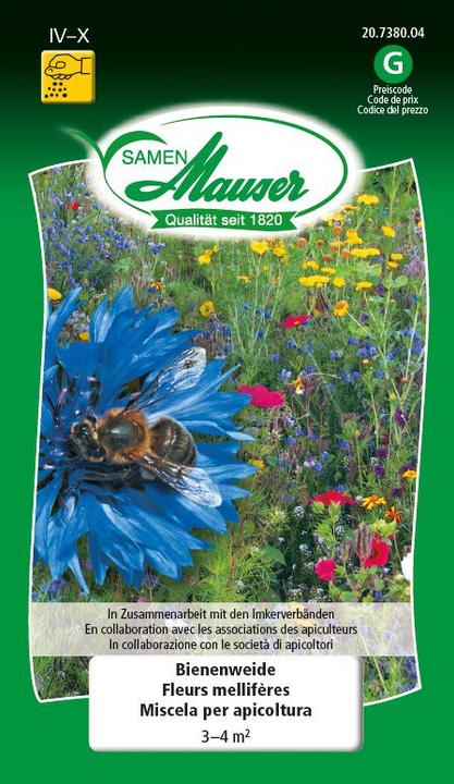 Image du produit Samen Mauser Pâturage d'abeilles (Graines de plantes)