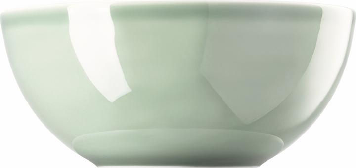 Image du produit Thomas Daily - Moss Green - Saladier 21 cm (20.90 cm, 2 l, 1 x)