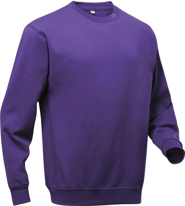 Actual product image Pro RTX Sweatshirt (L)