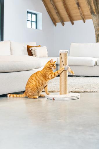 Actual product image Designed by Lotte Scratching post (50 cm, Light grey)
