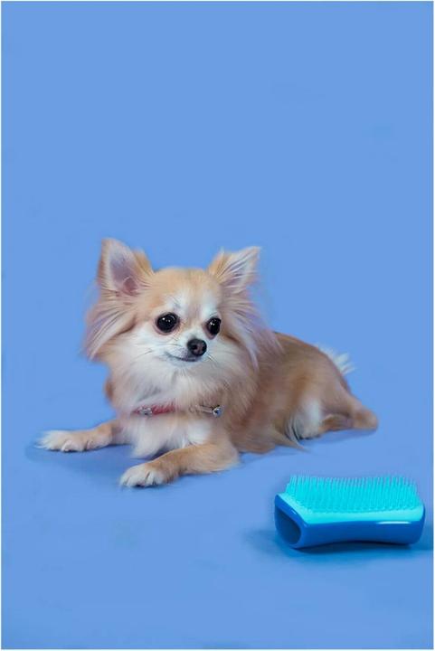 Produktbild Tangle Teezer Pet Teezer Detangling Small Blue (Hund, 1 ml)