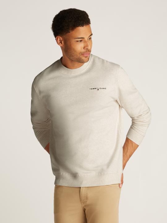 Actual product image Tommy Jeans Tjm Reg Linear Crew Ext (M)