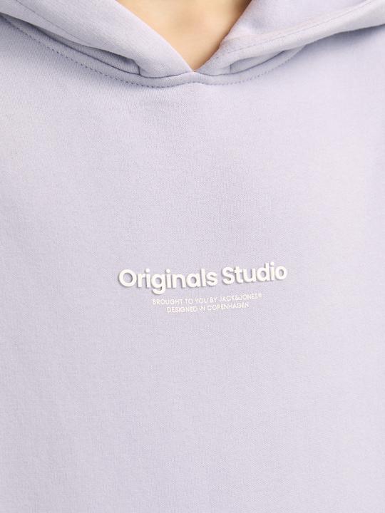 Produktbild Jack & Jones Jorvesterbro Sweat Hood Noos Jnr (176)
