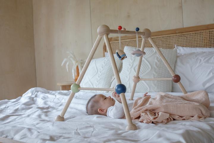 Actual product image Plantoys Baby Gym