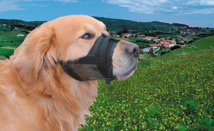 Produktbild Nobby Maulkorb verstellbar (1, Hund, Hundesport)