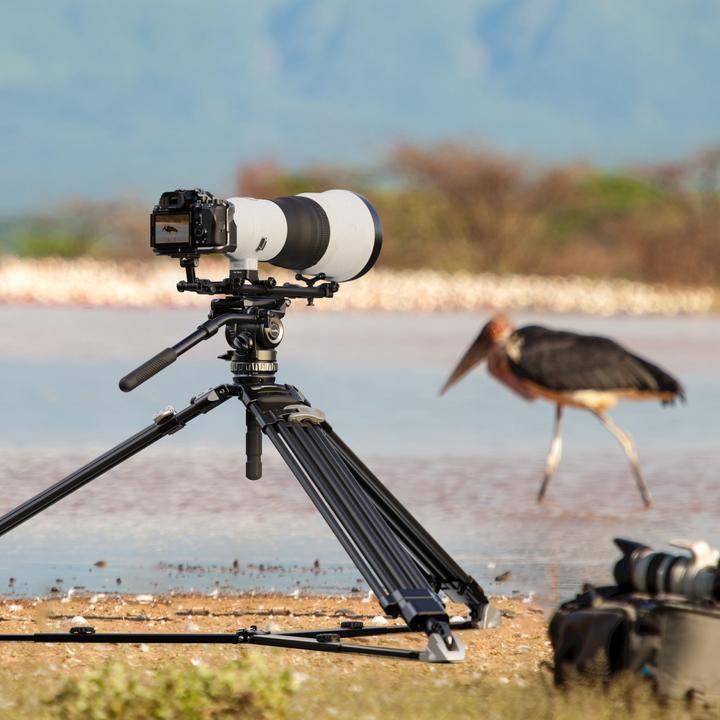 Immagine prodotto SmallRig 4429 Kit per la fotografia naturalistica (501PL) (Accessori per gabbie)