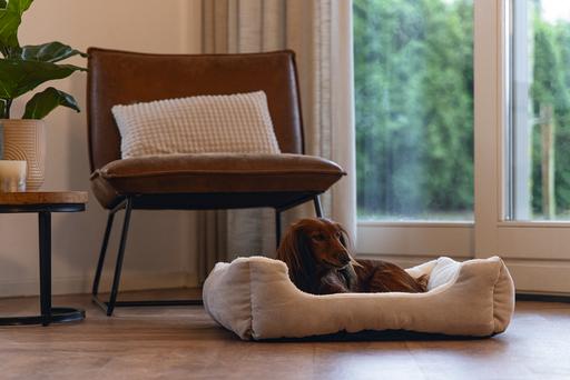 Immagine prodotto Beeztees Letto Per Cani Bz Mogina Grigio 55x50 (Cane)