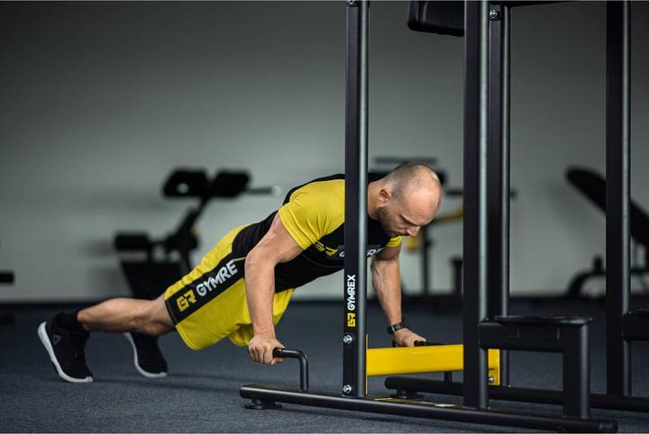 Actual product image Gymrex Dip Stand - 135 kg